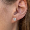 Cushion Studs